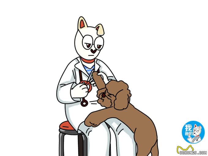 都说泰迪体味淡，为啥我养的臭到顶不住?几种有味道的病了解一下