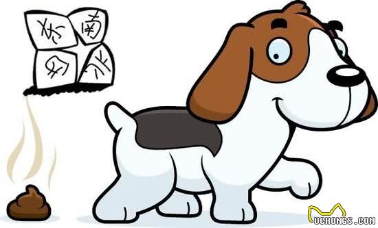 出门遛狗时,你会自觉清理狗便便吗?