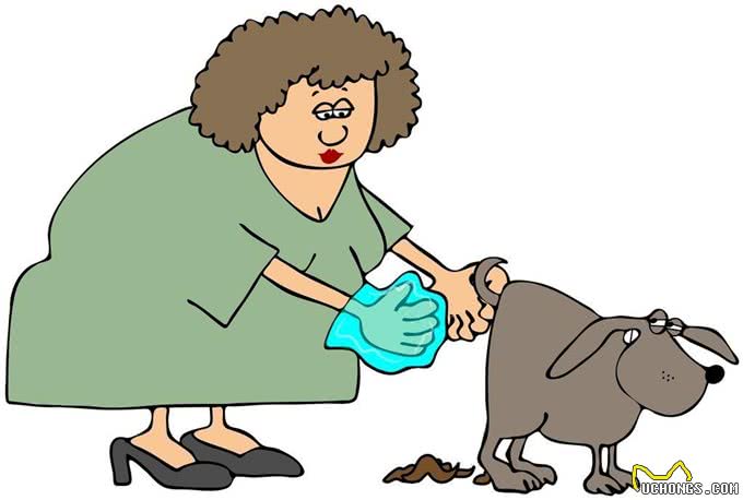 出门遛狗时,你会自觉清理狗便便吗?