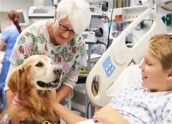 人们为什么喜欢养宠物?养宠好处多多，看看你是否中招?