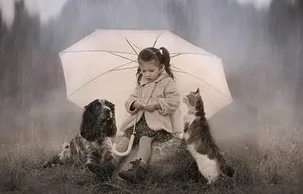 人们为什么喜欢养宠物?养宠好处多多，看看你是否中招?