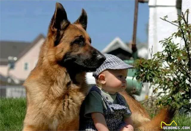 人们为什么喜欢养宠物?养宠好处多多，看看你是否中招?