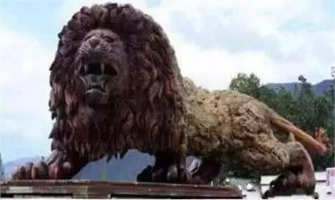 这只藏獒价值竟超过2000w