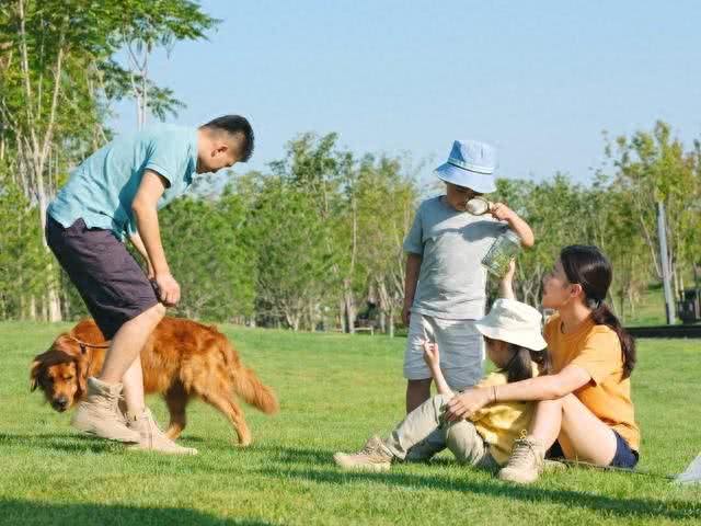 哪些人会害怕狗狗