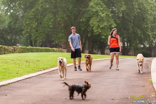 哪些人会害怕狗狗