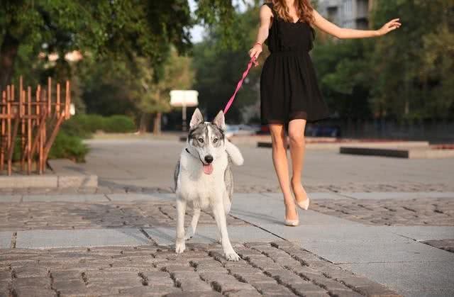 哪些人会害怕狗狗