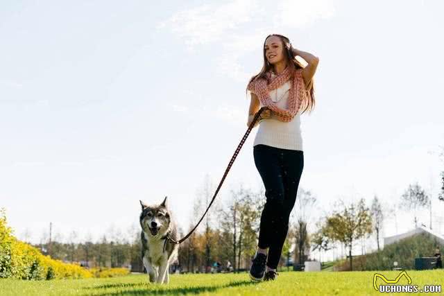 哪些人会害怕狗狗