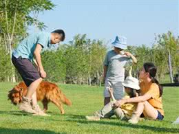 哪些人会害怕狗狗