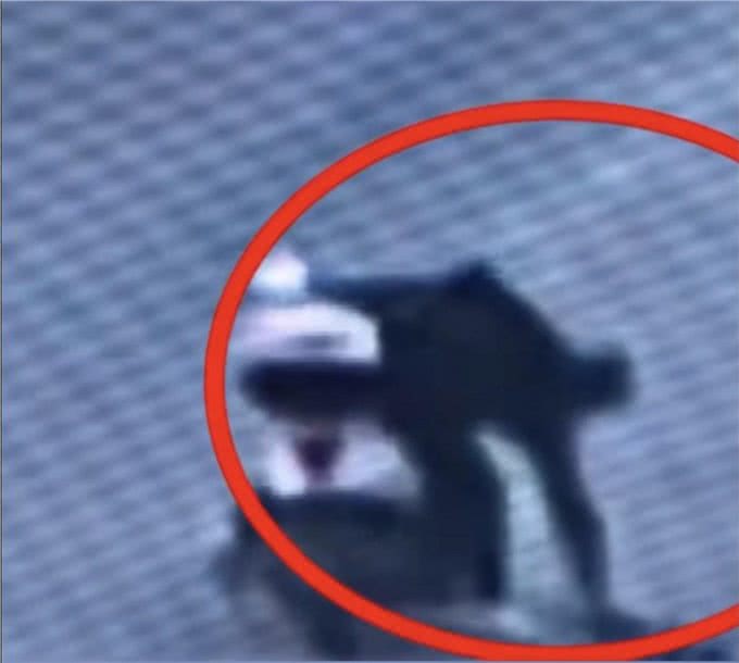 江苏男子十几分钟毒倒两条狗，毒狗药有多危险?吃了容易中毒