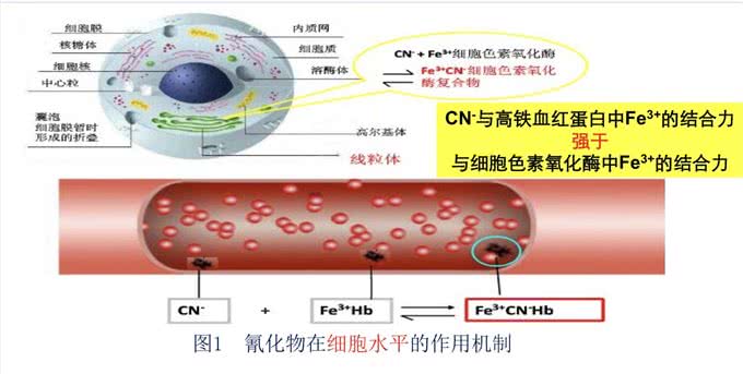 江苏男子十几分钟毒倒两条狗，毒狗药有多危险?吃了容易中毒