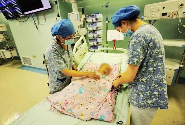 江苏男子十几分钟毒倒两条狗，毒狗药有多危险?吃了容易中毒