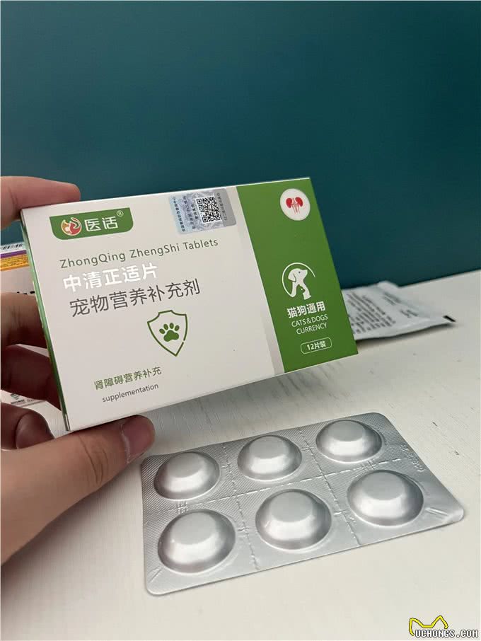 狗狗肾衰竭，请一定要好好照顾狗狗