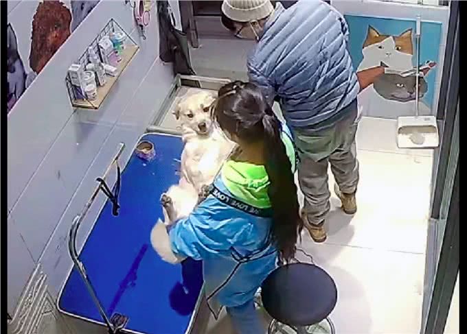 女员工一边跳舞一边给狗吹毛，还将它抱在怀里亲，狗：是正规的吗