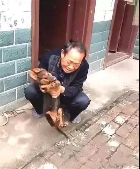 主人抱着三个月的德牧在门口痛哭,到底是谁下的手,这只是个孩子