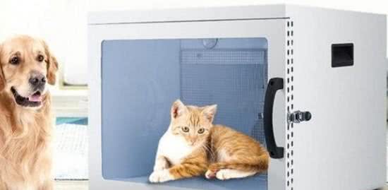 你会给家里主子买宠物家电吗?