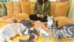 你会给家里主子买宠物家电吗?