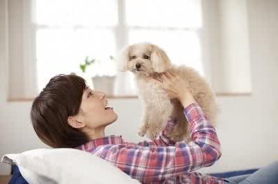 抱狗狗它还一脸不情愿?是你姿势不对!乱抱甚至可使它瘫痪