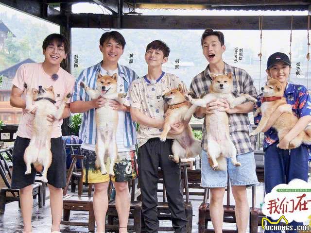 抱狗狗它还一脸不情愿?是你姿势不对!乱抱甚至可使它瘫痪