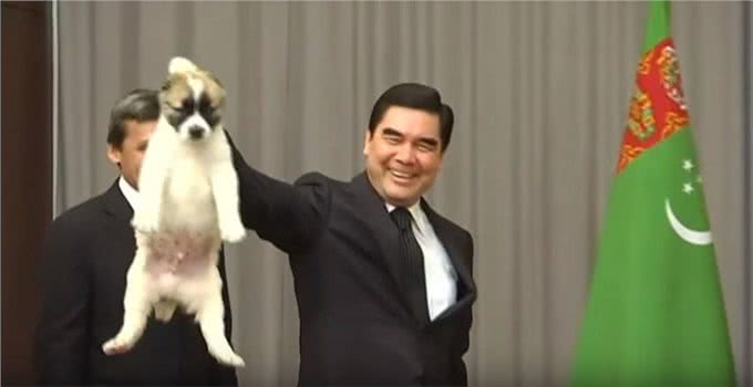 抱狗狗它还一脸不情愿?是你姿势不对!乱抱甚至可使它瘫痪