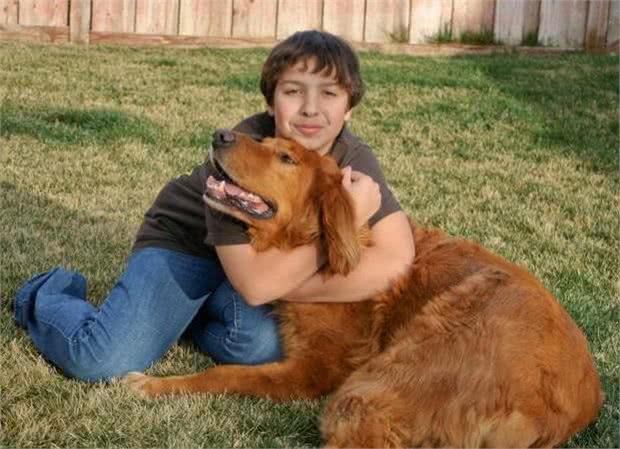 抱狗狗它还一脸不情愿?是你姿势不对!乱抱甚至可使它瘫痪