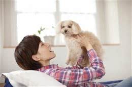 抱狗狗它还一脸不情愿?是你姿势不对!乱抱甚至可使它瘫痪