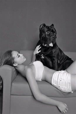 罗威纳，卡斯罗对比