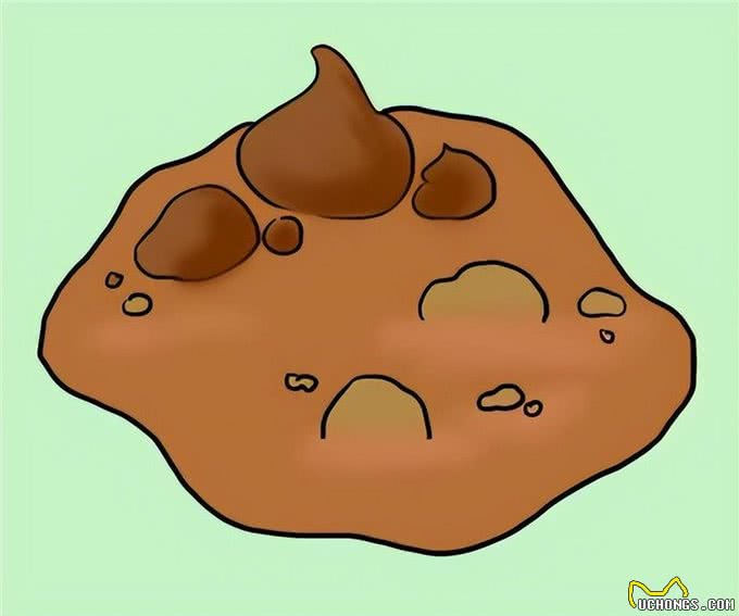 8种幼犬常见的疾病，你知道几个?