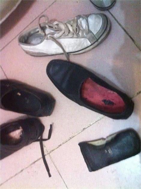 为什么狗狗喜欢咬皮革家具?答案很有说服力