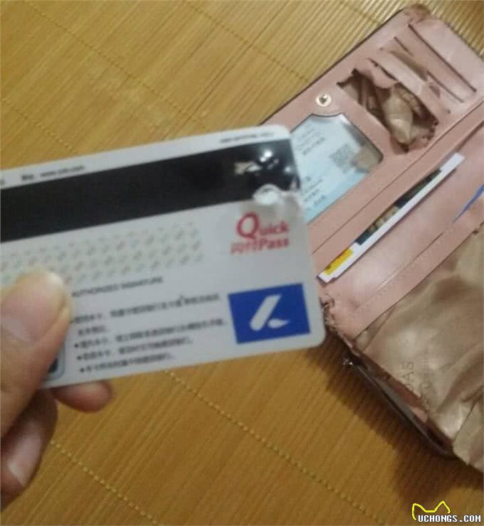 为什么狗狗喜欢咬皮革家具?答案很有说服力