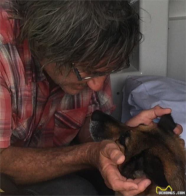 忠犬!澳洲老人出海沉船，所养德牧竟在海中狗刨11小时救回主人