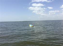 忠犬!澳洲老人出海沉船，所养德牧竟在海中狗刨11小时救回主人