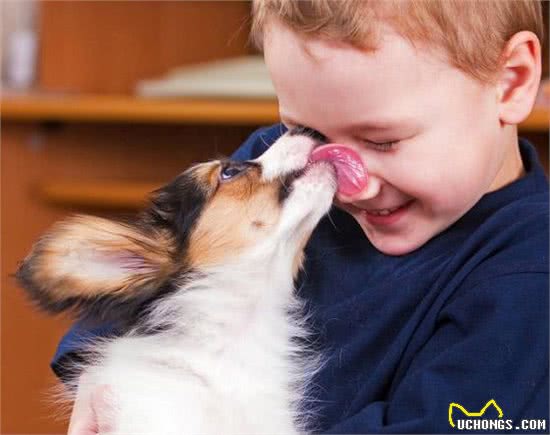 狗狗对人类健康的九大有益影响