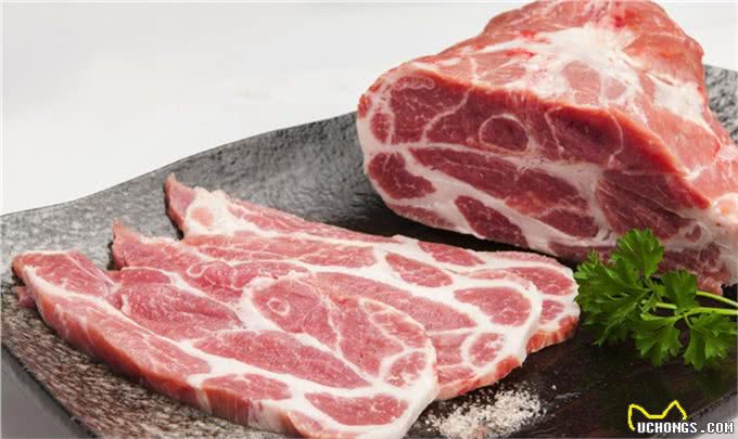 细小、犬瘟如何得来?刚回家的小狗如何预防?