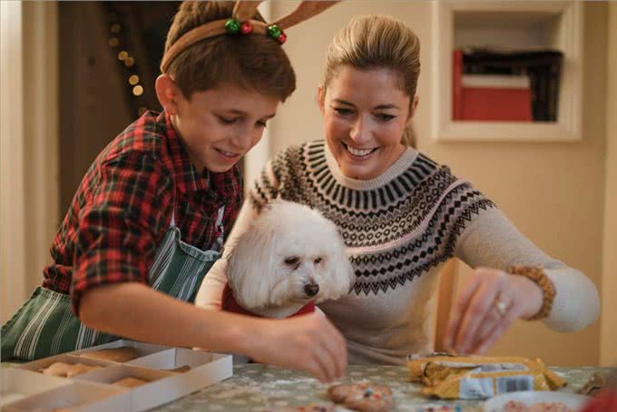 狗狗吃了对身体有益的几种食物，好吃还很营养
