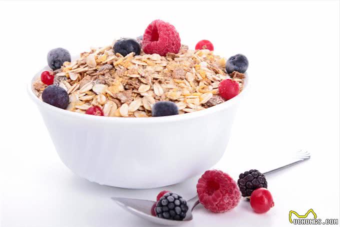 狗狗吃了对身体有益的几种食物，好吃还很营养