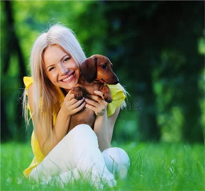 有人知道獾狗吗?它真名是腊肠犬呀，快来看看吧