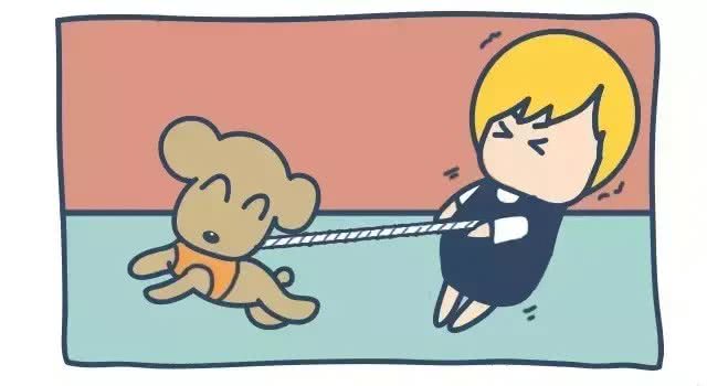 狗狗随行训练，干货分享