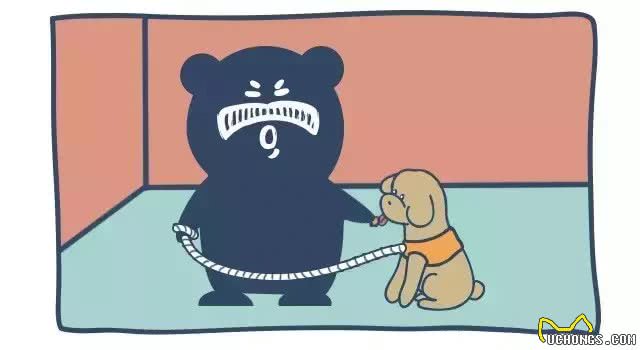 狗狗随行训练，干货分享