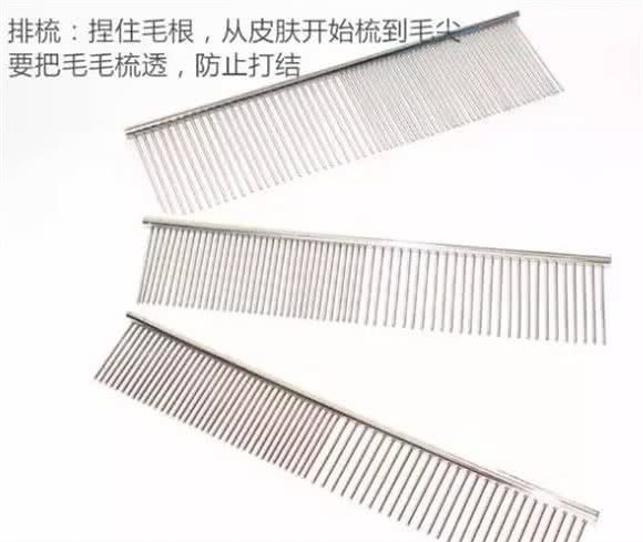 奔跑的棉花糖!狗姐的犬种小科普之萌化人的比熊犬!