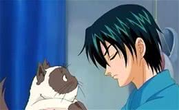 以享受生活为猫生目标—喜马拉雅猫