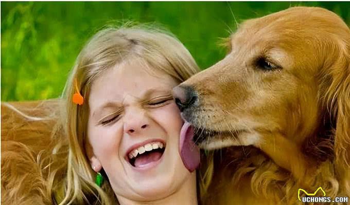 老祖宗：挑狗记住这6点，包你选到健康狗