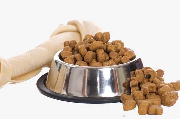 狗粮到底怎么选?新手养狗狗粮推荐