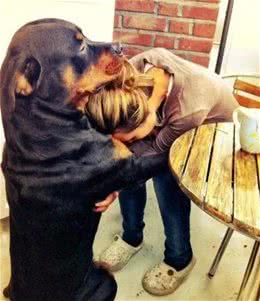 你养的狗，已经暴露了你的性格，你觉得准吗?