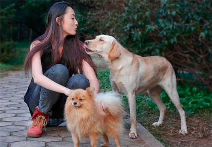 俗语说：喂狗别喂饱，是什么意思?其实后半句才是重点