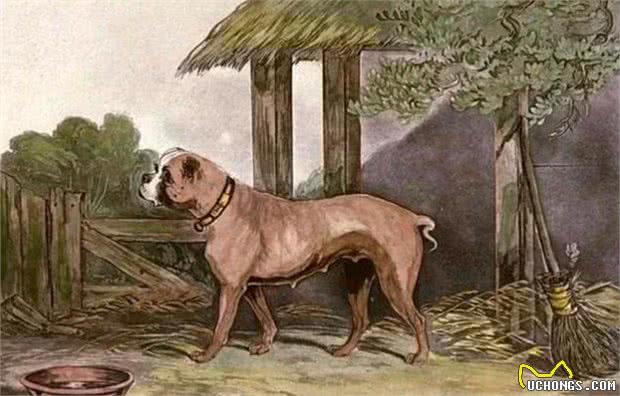 俗语说：喂狗别喂饱，是什么意思?其实后半句才是重点