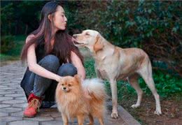 俗语说：喂狗别喂饱，是什么意思?其实后半句才是重点