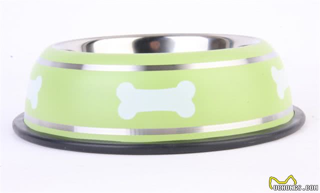 家里新来了狗狗,主人准备狗狗用品时,是否知道如何挑选食盆呢?