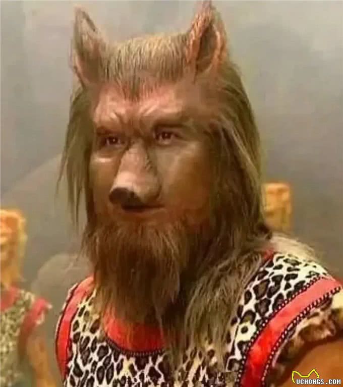 挑战全网最会撩人小狗!它是怎么做到又帅又御又撩人的?