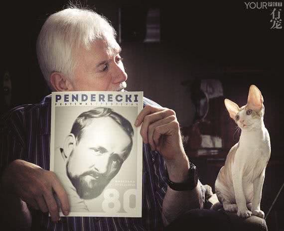 帝王柯尼斯卷毛猫诞生记