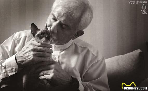 帝王柯尼斯卷毛猫诞生记